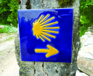 sea-scallop-st-james