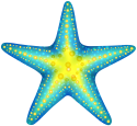Blue_Starfish_PNG_Clip_Art-1718