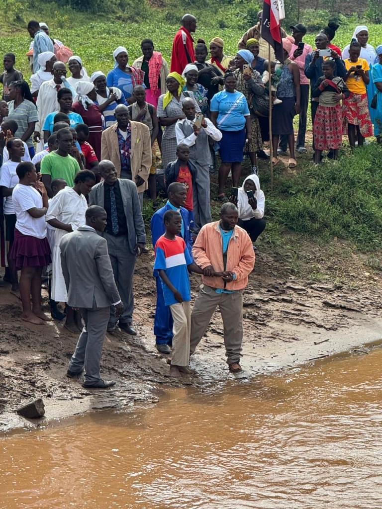 d9398133-44ae-4d8c-97ae-d66046b0264e